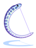 斑纹鳗鱼弓